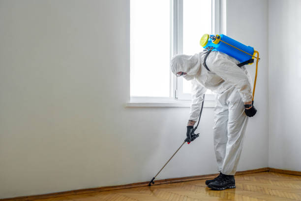 Professional Pest Control in Barnhart, MO